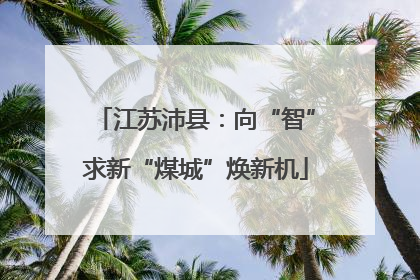 江苏沛县：向“智”求新“煤城”焕新机